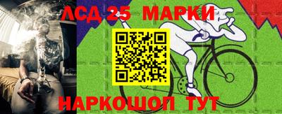 2c-b Кингисепп