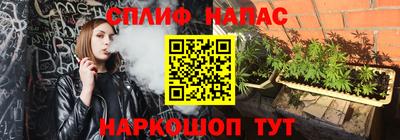 ешки Камышлов