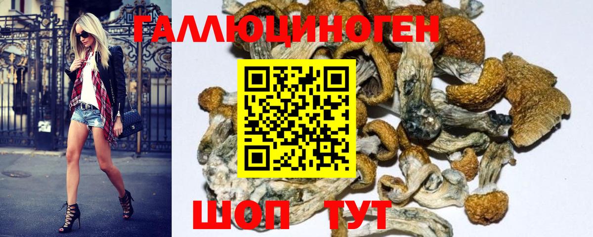 Галлюциногенные грибы Magic Shrooms Воронеж